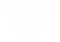 NG7 Customs — Zur Startseite